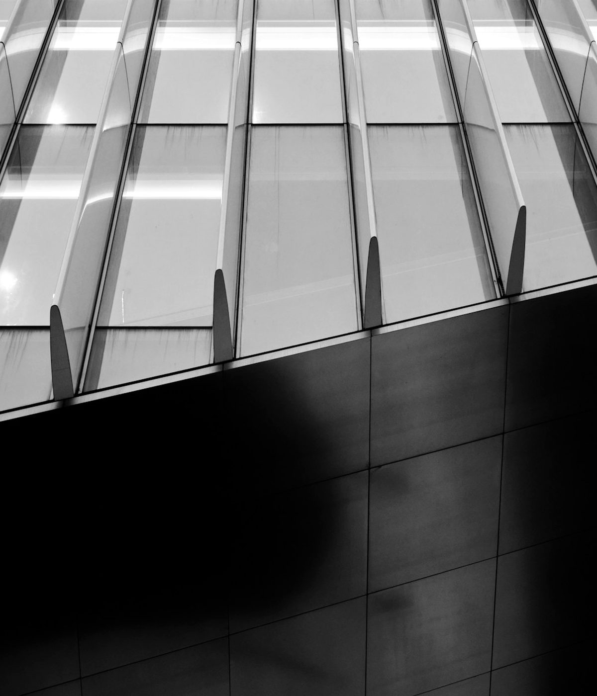 Detail of a glass office building facade at dusk, shot from below
